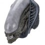 Xenomorph Trophy Plaque