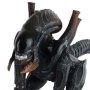 Alien Vs. Predator: Xenomorph Tusk