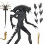 Alien-Romulus: Xenomorph XX121 Ultimate