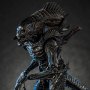 Xenomorph Raven (Previews)