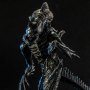 Xenomorph Raven (Previews)