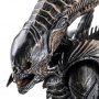 Xenomorph Raven (Previews)