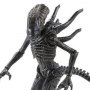 Aliens Colonial Marines: Xenomorph Soldier