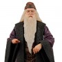 Harry Potter: Professor Dumbledore & Harry Potter Year 2