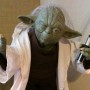 Yoda (realita)