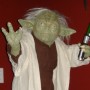 Yoda (realita)