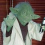 Yoda (realita)