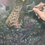 Zeratul Vs. Hydralisk