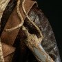 Zuckuss (Sideshow)